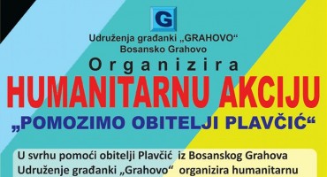 bosansko grahovo, obitelj Plavčić