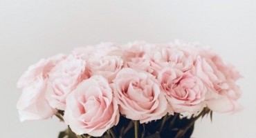 Trikovi uz koje ruže i buketi ostaju svježi i do dva tjedna