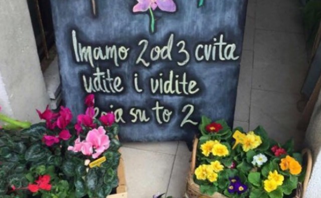 Jedna cvjećarna u Dalmaciji oduševila reklamom, kupci oduševljeni