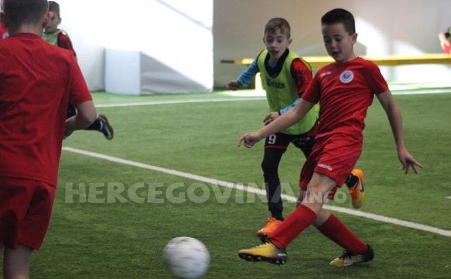 DFA zrinjski bijeli 2009