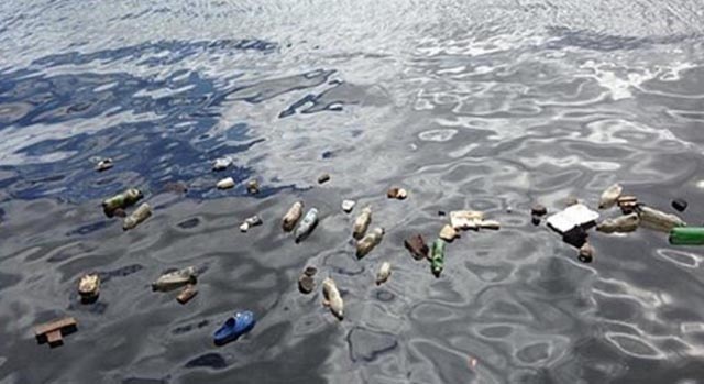 Mikroplastika je prijetnje velikim morskim životinjama
