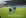 NK Široki Brijeg-FK Radnik 1:1