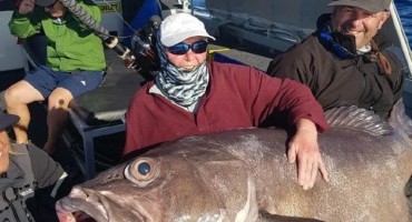 SUE ELCOCK, riba, perth