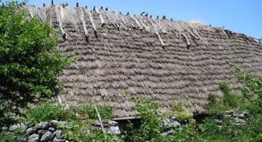 slamarica, Hercegovina