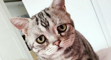 Mala Luhu sa tužnim pogledom postala je zvijezda Instagrama