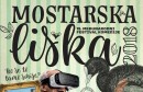 15. MFK MOSTARSKA LISKA 2018:Radionica  Zijaha Sokolovića Glumac kao režiser
