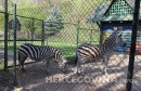 zoološki vrt sarajevo