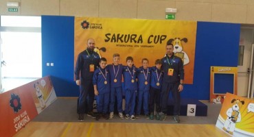judo klub borsa