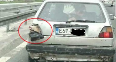 Samo u BiH: Svinjska njuška kao žmigavac