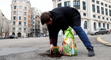 Nizozemac sadi cvijeće u rupe po briselskim prometnicama 