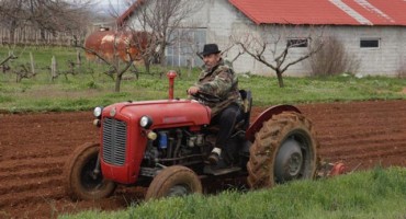 Bivolje brdo kod Čapljine: Ovdje uspije što god posiješ, samo nema tko obrađivati zemlju