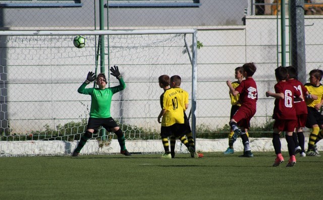 Makarska Kup: Mladi Plemići se plasirali u četvrtfinale