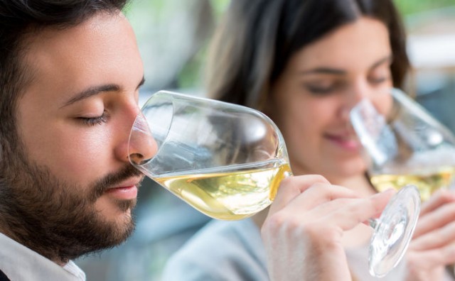Otvoren vinski studij: studenti koji žele diplomirati, moraju piti