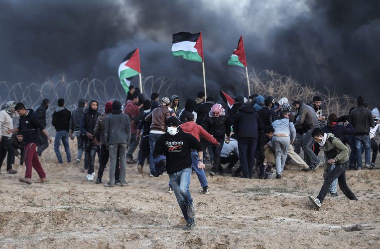 palestina
