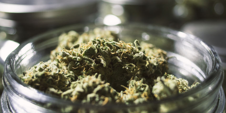 Mostar: Zapljenjena veća količina opojne droge marihuana