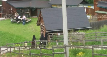 Čak su i oznake na WC-u promijenjene zbog Arapa koji dolaze i troše novac u BiH