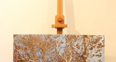 Marin Topić, hladovina 