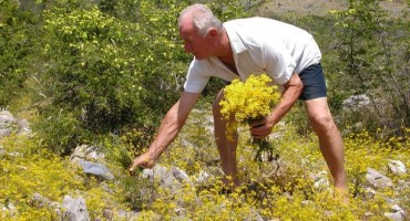 Propada prirodno bogatstvo Hercegovine