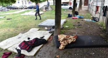 migranti