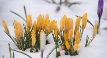 Iznad Makarske pao snijeg