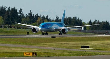TUI fly, pula