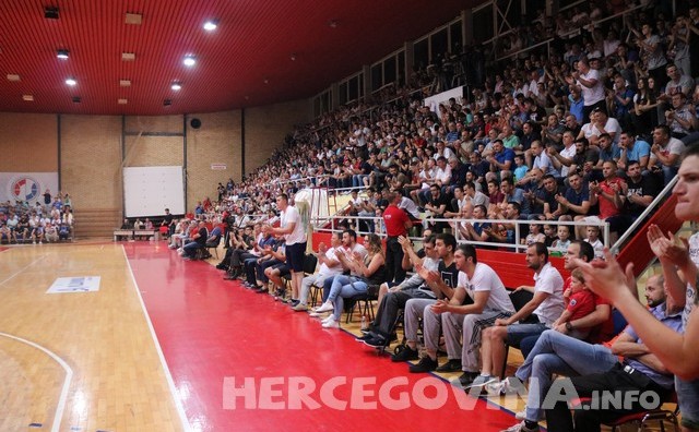 Zrinjski igokea