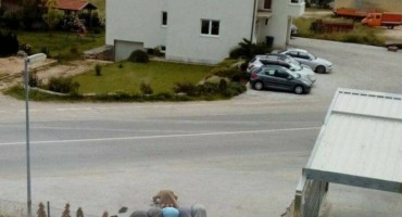  Tomislavgrad: Migranti klanjaju na otvorenome, nasred parkirališta