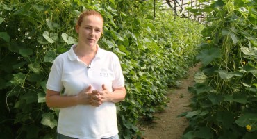 Hercegovka ostavila diplomu i postala uspješna eko poljoprivrednica