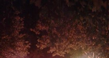 Čitluk, pobjeda, slavlje