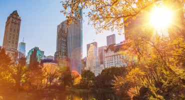 Najslavniji park na svijetu odsad bez automobila