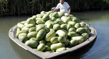 Dolinu Neretve pogodila je poljoprivredna kataklizma, niti jedan proizvod ne može se prodati!