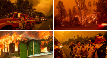 Požari haraju Kalifornijom: Više od 3000 ljudi moralo napustiti svoje domove