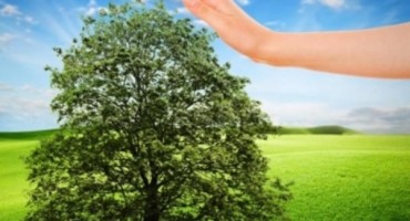 JAVNI POZIV EKOLOŠKIM UDRUGAMA HERCEGBOSANSKE ŽUPANIJE - 03.07.2018