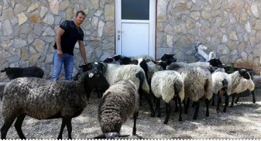 Hercegovina, Njemačka