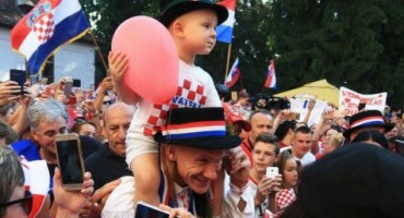 Domagoj Vida, Vatreni