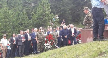 Doljani, stipića livada