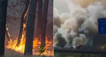 vatra, šuma, berlin