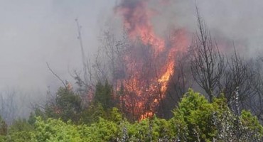 Veliki požar u Dobrom Selu kod Čitluka