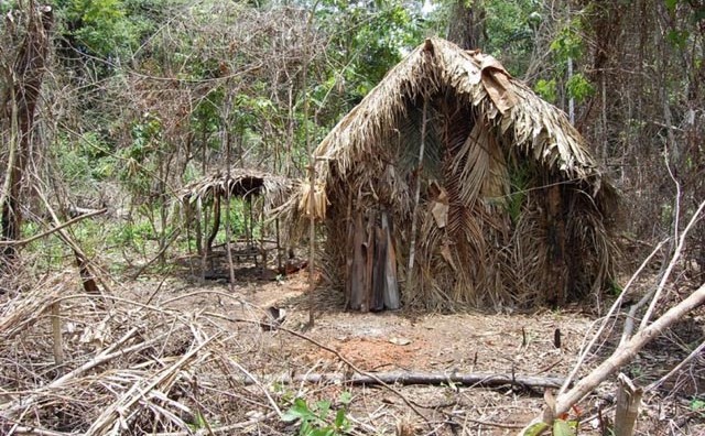 Objavljen snimak jedinog preživjelog člana misterioznog plemena, živi sam u amazonskoj prašumi već 22 godine