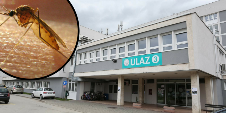 Karlovčanka zaražena virusom Zapadnog Nila dobila encefalitis: 'Najgore bi bilo širiti paniku'