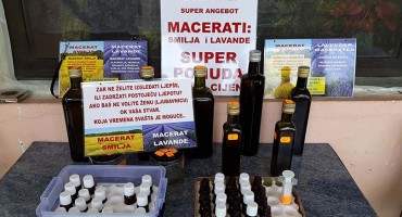 Zanimljivi Mile ima rješenje što uraditi od smilja sa svoje plantaže na Mostarskom Blatu