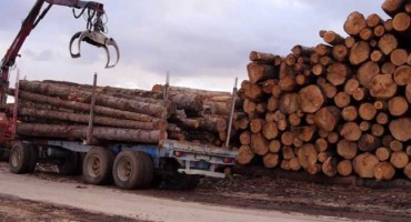 Šumarija isporučila 3.500 kubika ogrijevnog drveta, a mnogi i dalje traže ogrijev 