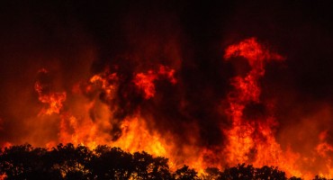 Zaustavljena vatrena fronta na Pelješcu! Vatrogasci su cijelu noć držali liniju obrane dugu tri kilometra