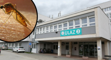 Karlovčanka zaražena virusom Zapadnog Nila dobila encefalitis: 'Najgore bi bilo širiti paniku'