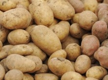 Krumpir baš nikada ne stavljajte u hladnjak!