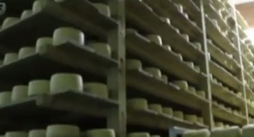 Livanjska mljekara se priprema za osvajanje velikog tržišta