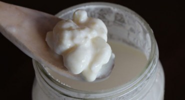 Vodeni kefir , protuupalna i antifungalna svojstva, Granule kefira