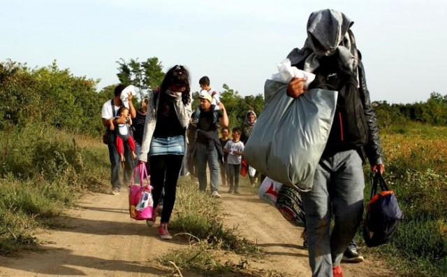 imigranti, emigranti, ilegalni migranti , Daniela Škegro