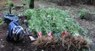 Grude, Policijski dužnosnici