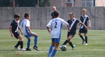 predpioniri Zrinjski Čapljina